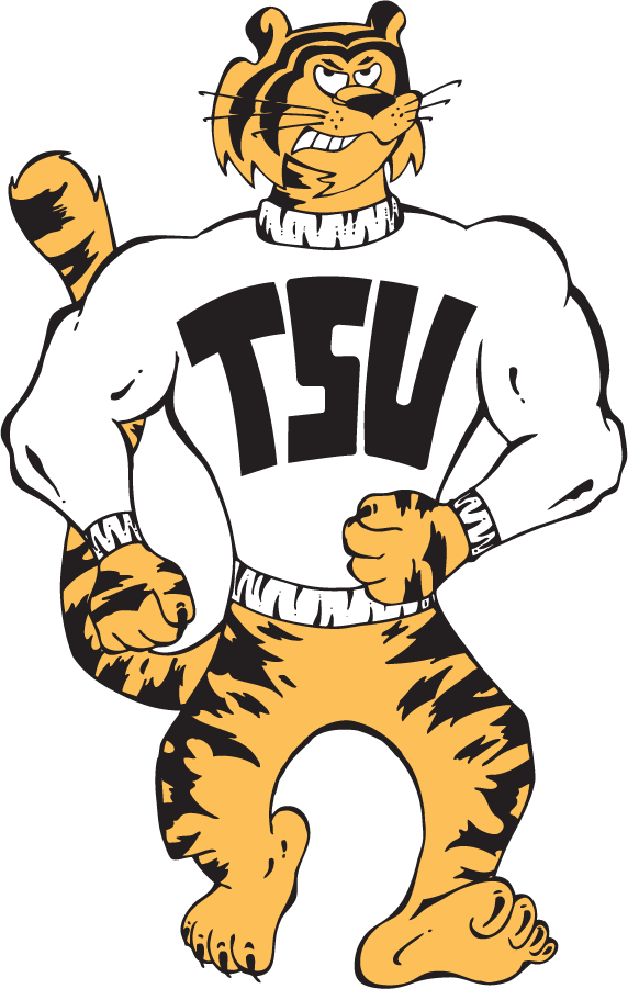 Towson Tigers 1985-1995 Primary Logo iron on transfers for clothing